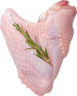 Raw Turkey Wing Transparent PNG